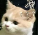 qcat