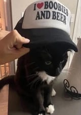 hCRKmLbzHXw