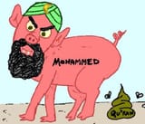 inshallah