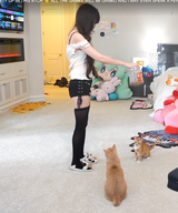 img1239733