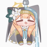 cat water d