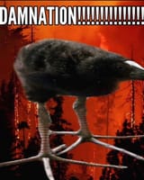 DAMNATION