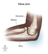 elbow-joint
