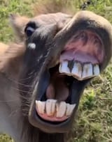 1750771774230741