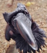 1709918298692124