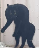1749286191141680