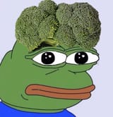 1738806876451832