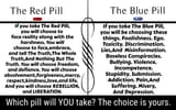 WhichPillWillYouTake