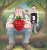 look at the pepo vods strawberry