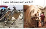 1738529493028556