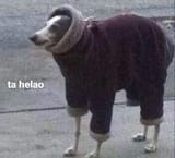 ta helao