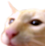 1149940926651