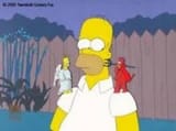 homersimpson