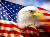 constitution