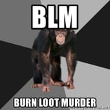 blm-burn-loot-murder