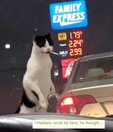 1726275023824062