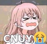 cnuy cry