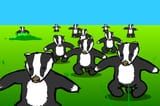 Badgerx3