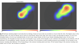 heat maps
