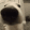 sniff-dog
