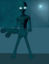 zeepzorp