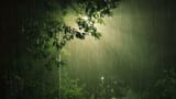 rain2