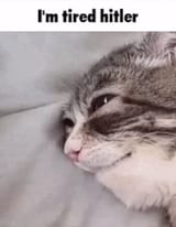 tired