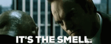 the-matrix-its-the-smell-80e05x2bmssds92r