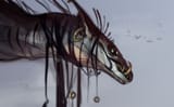 barracuda_by_darenrin_dby3ghm-fullview