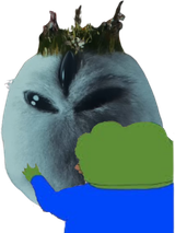 ms celly and pepe happy celly is home