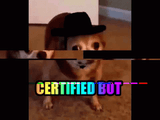 1732054283910867