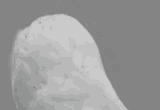 171239874289352