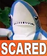 scaredshark