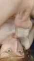 cum_thumb.jpg