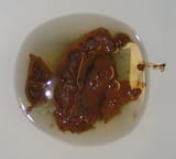 Human Feces AKA TimedWatcher