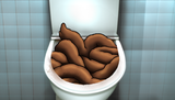 remains inhometoilet