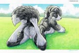1740217940.kashmere_sunny_92_(d.furaffinity.net)
