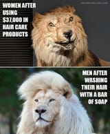 Hair Care Products - Women &amp; Men Bar of Soap Lions Meme
