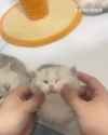 smol yan_thumb.jpg