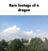 REAL.DRAGON.FOOTAGE...........................