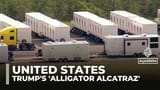 alligatoralcatraz