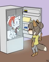 how to cool your arctic fox 8f5b5e99506a517e197d924b0999fd05