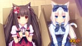 chocola vanilla