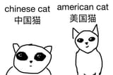 1744087647512539