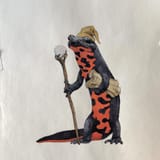 salamander wizard