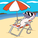 LoungeBeach