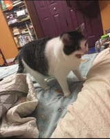 1747710985485812