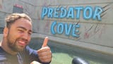 predator