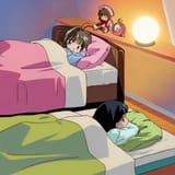 sak bed 2