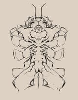 5342963_sumatsuki_illustration85_2_